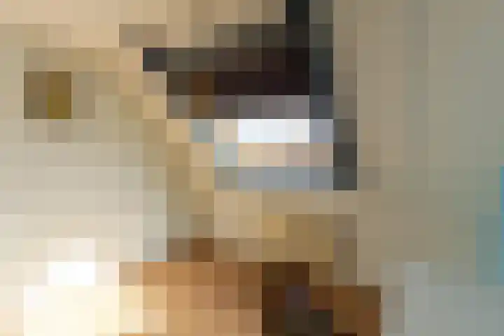 Gaffelaar 7 Franeker thumbnail 27