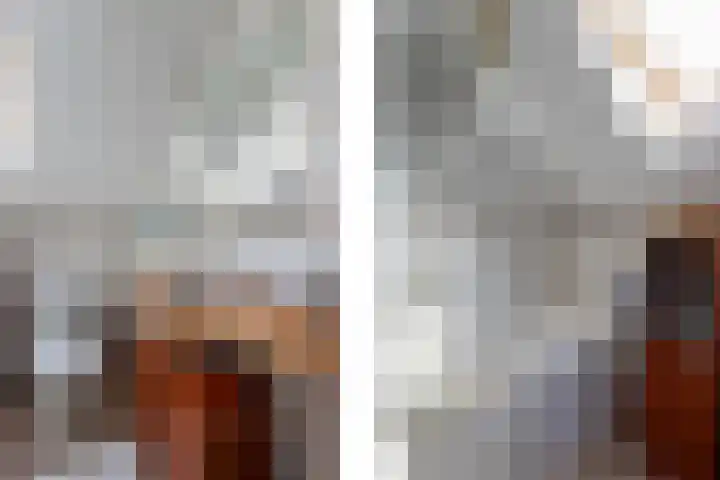 Gaffelaar 7 Franeker thumbnail 29