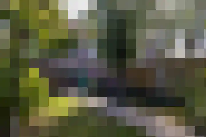 Gaffelaar 7 Franeker thumbnail 33