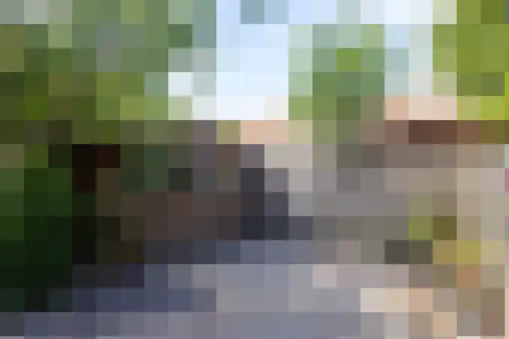 Gaffelaar 7 Franeker thumbnail 34