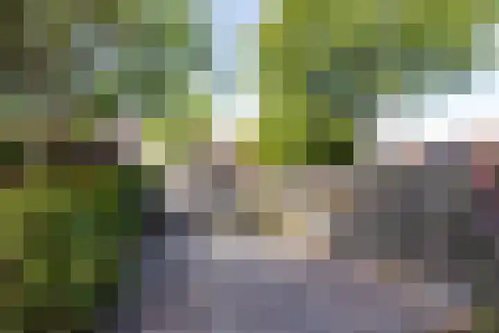 Gaffelaar 7 Franeker thumbnail 35