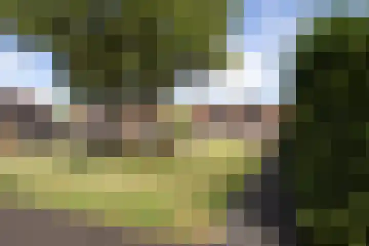 Gaffelaar 7 Franeker thumbnail 37