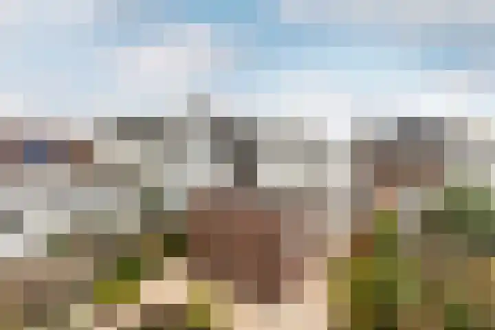 Gaffelaar 7 Franeker thumbnail 41