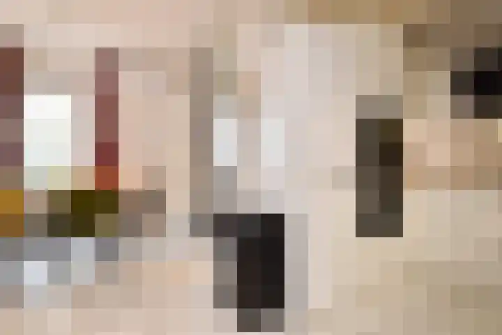 Gaffelaarkade 7 Zoetermeer thumbnail 11