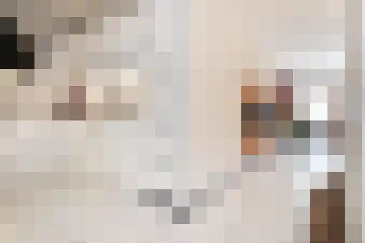 Gaffelaarkade 7 Zoetermeer thumbnail 12