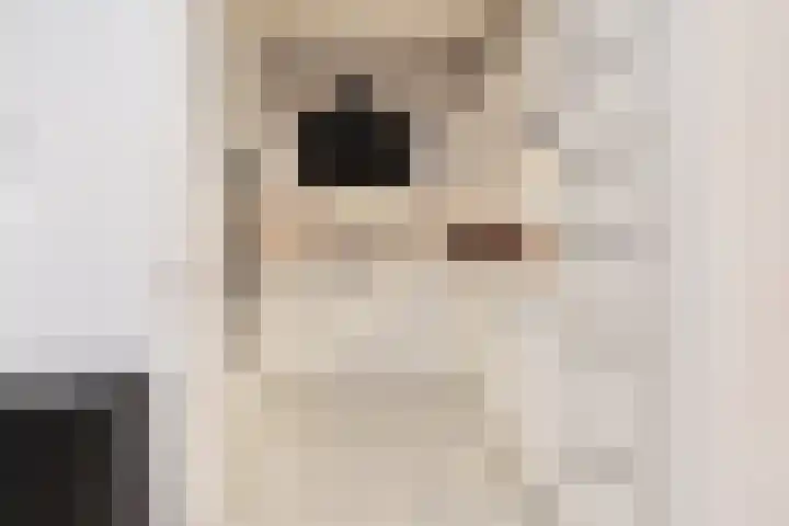 Gaffelaarkade 7 Zoetermeer thumbnail 13