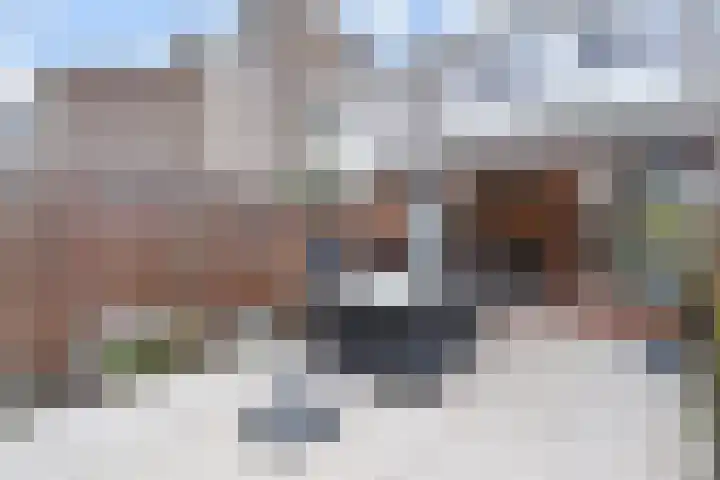 Gaffelaarkade 7 Zoetermeer thumbnail 23