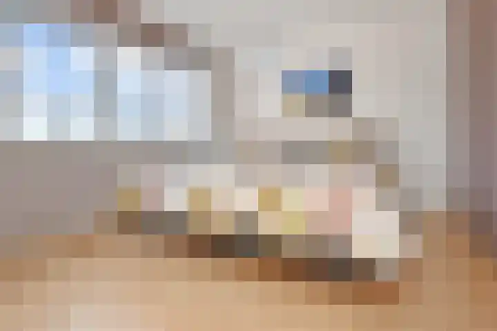 Gaffelaarkade 7 Zoetermeer thumbnail 31