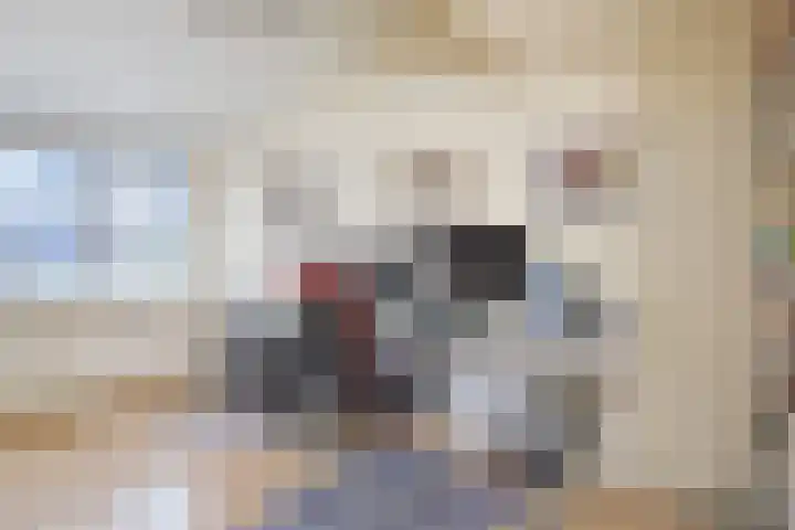Gaffelaarkade 7 Zoetermeer thumbnail 35
