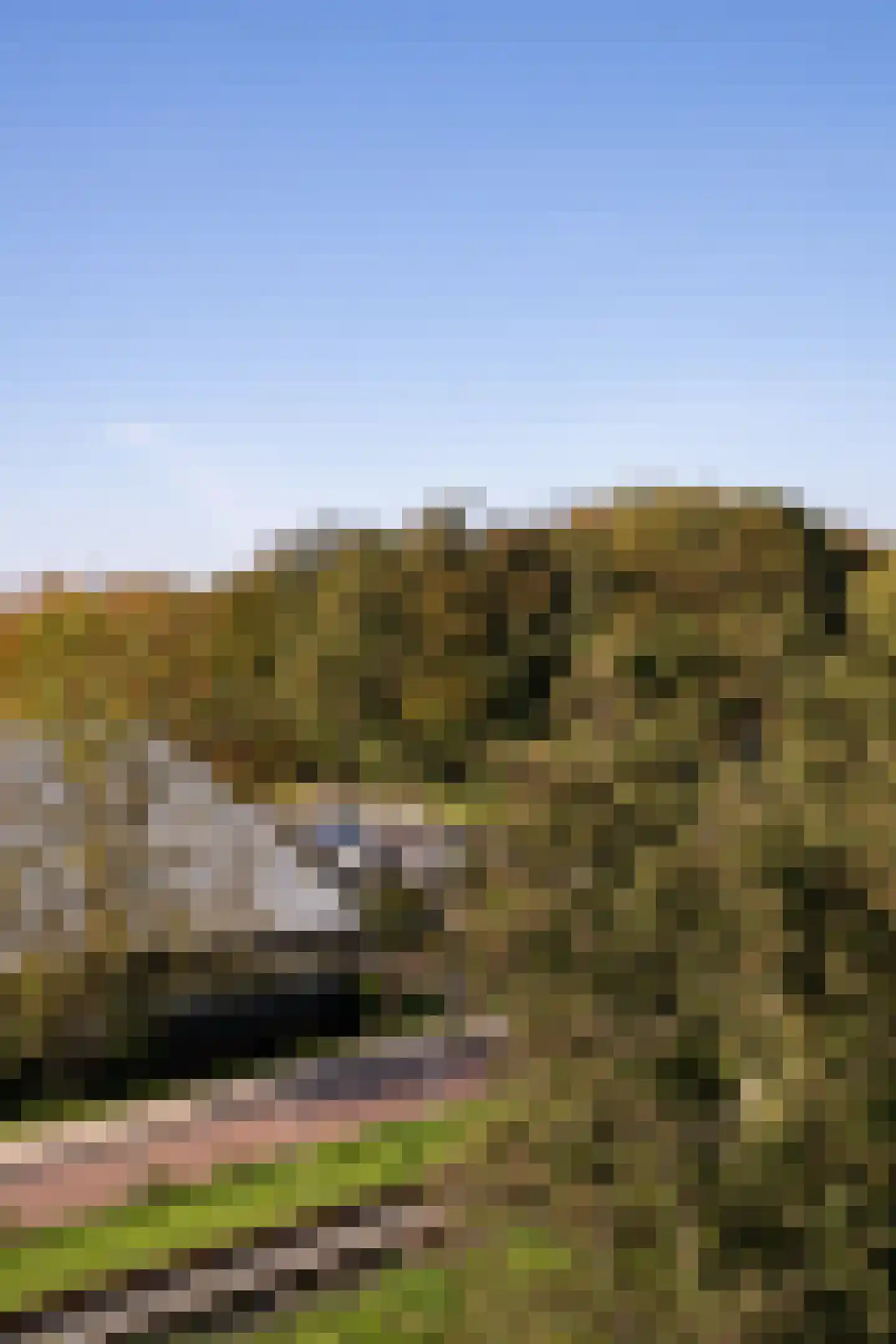 Gaffelaarspad 27 Amsterdam thumbnail 33