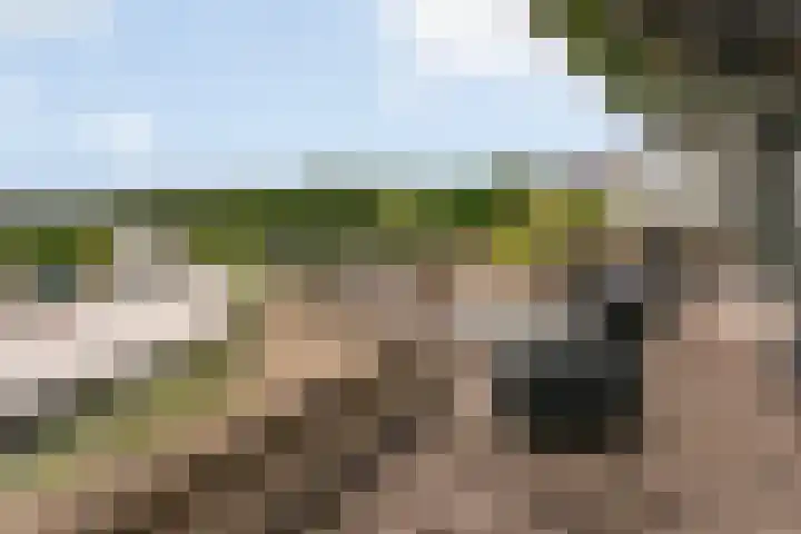 Gaffelaarspad 35 Amsterdam thumbnail 25