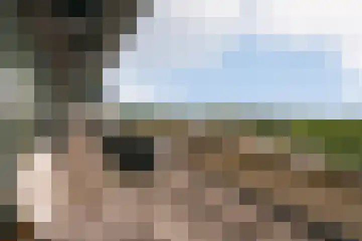 Gaffelaarspad 35 Amsterdam thumbnail 26