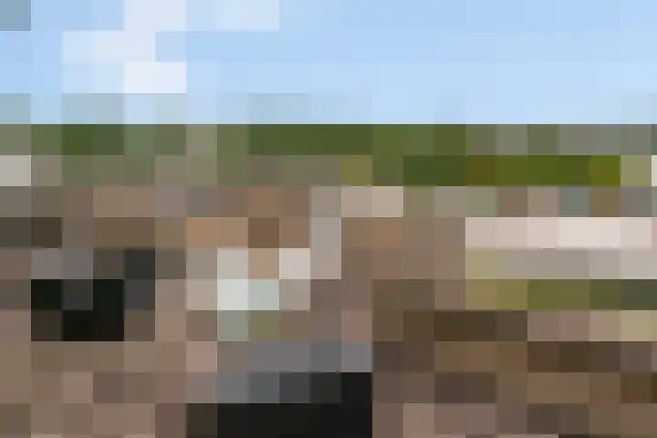 Gaffelaarspad 35 Amsterdam thumbnail 28