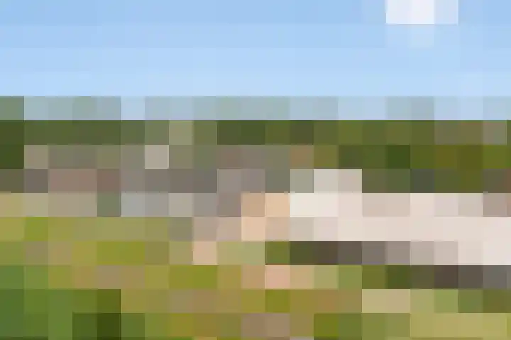Gaffelaarspad 35 Amsterdam thumbnail 31
