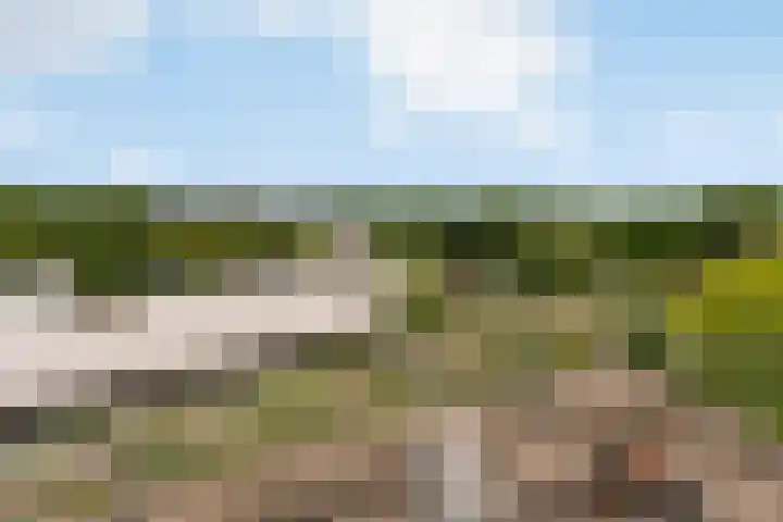 Gaffelaarspad 35 Amsterdam thumbnail 33