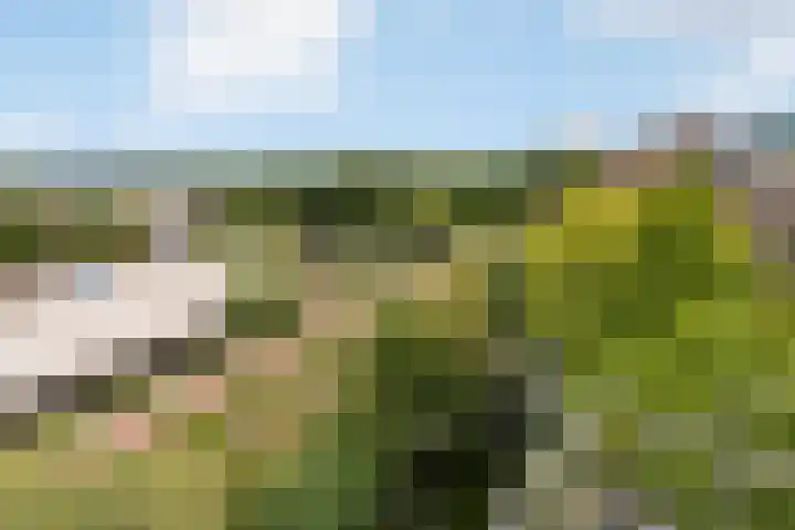 Gaffelaarspad 35 Amsterdam thumbnail 34