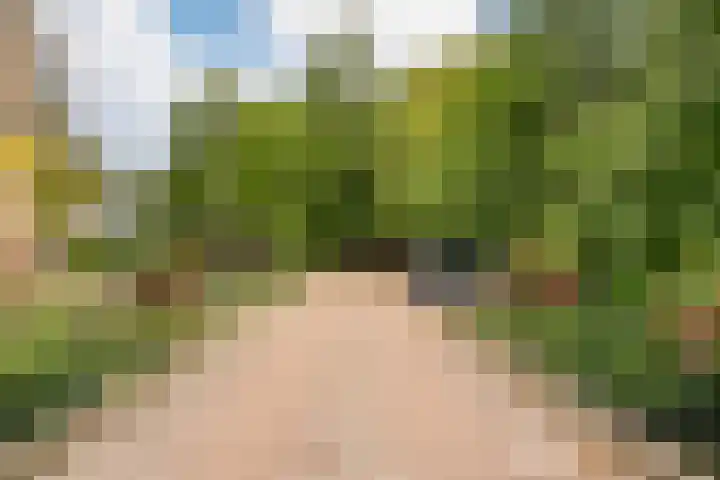 Gaffelaarspad 35 Amsterdam thumbnail 40