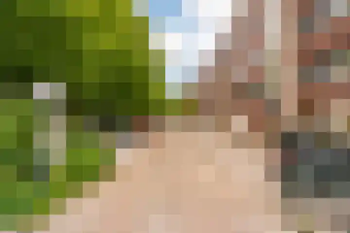 Gaffelaarspad 35 Amsterdam thumbnail 41