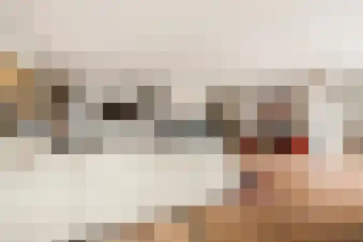 Gaffelaarspad 35 Amsterdam thumbnail 6