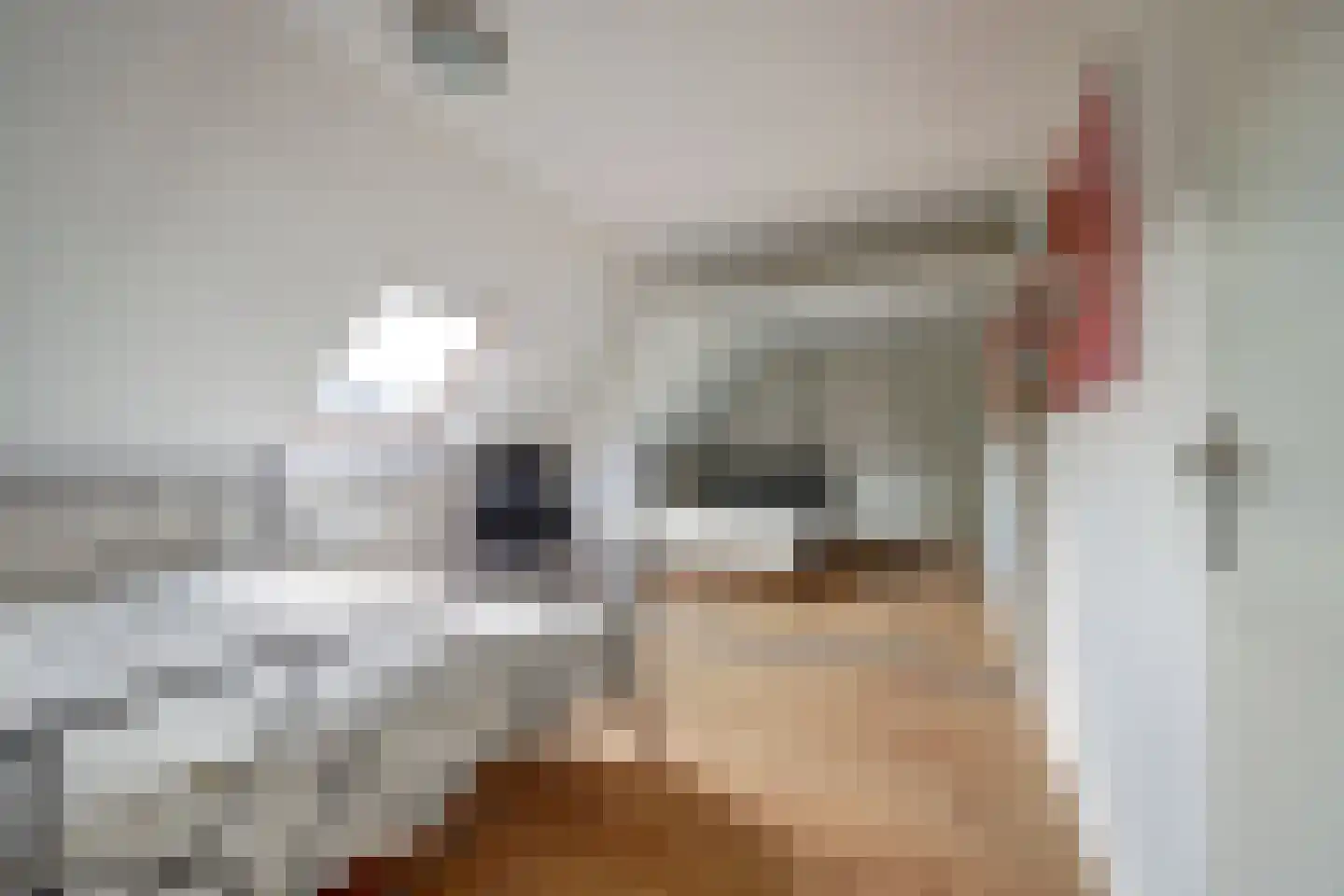 Gaffelaarwerf 14 Gouda thumbnail 20