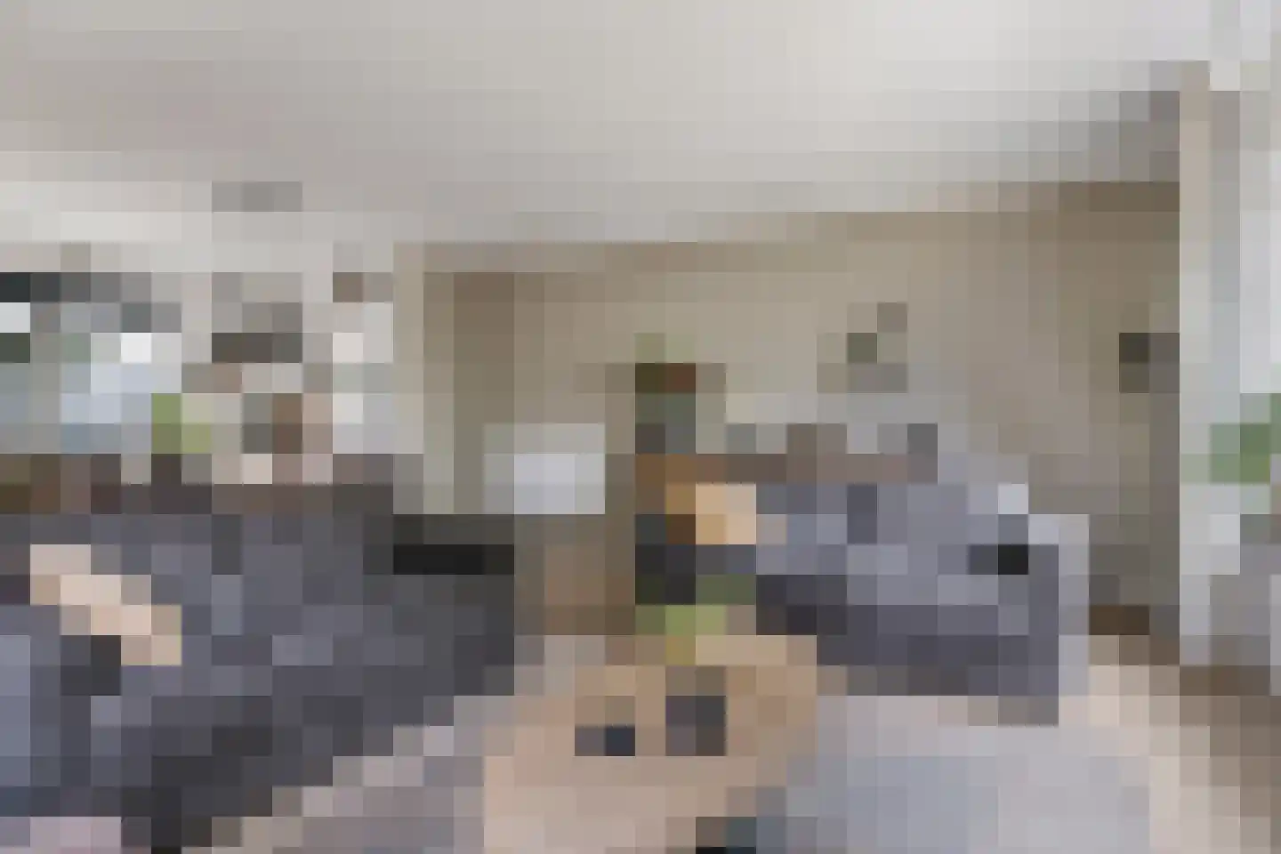 Gaffeldreef 21 Doetinchem thumbnail 12