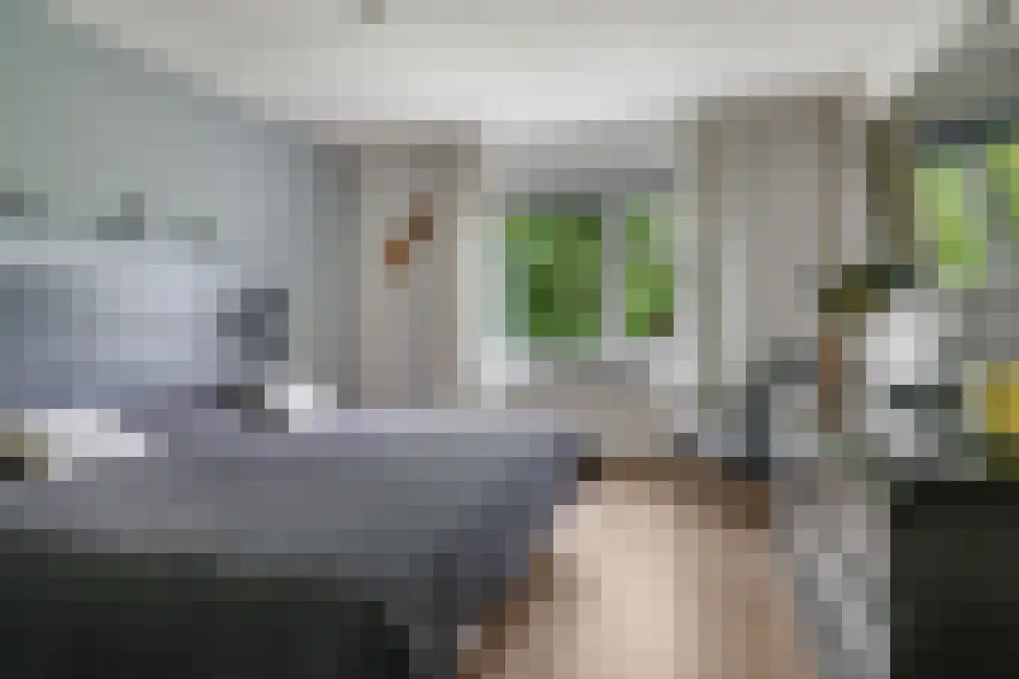 Gaffeldreef 21 Doetinchem thumbnail 22