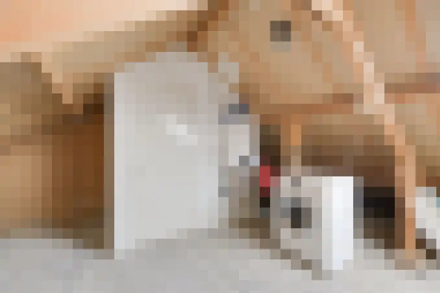 Gaffeldreef 25 Doetinchem thumbnail 38