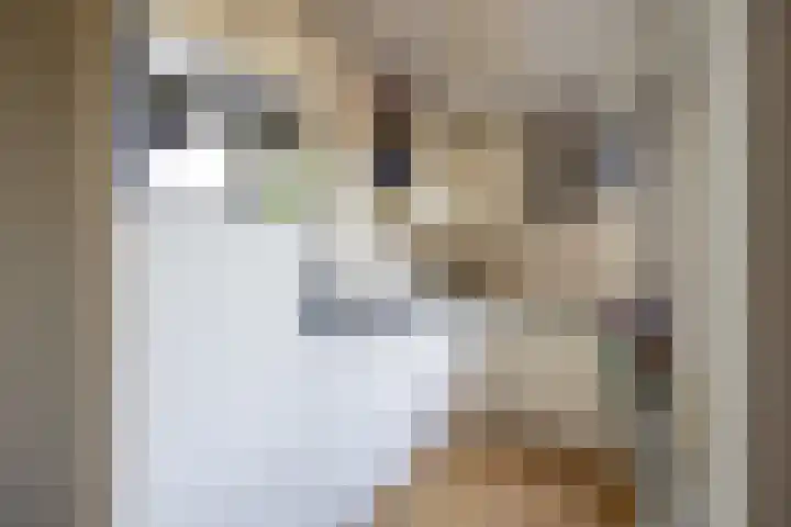 Gaffeldreef 33 Doetinchem thumbnail 12