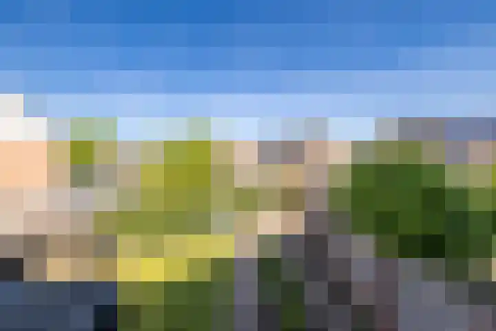 Gaffeldreef 33 Doetinchem thumbnail 40