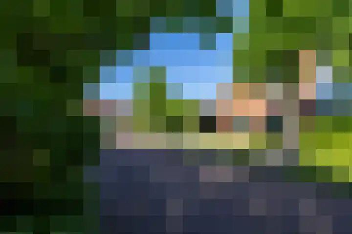 Gaffeldreef 33 Doetinchem thumbnail 59