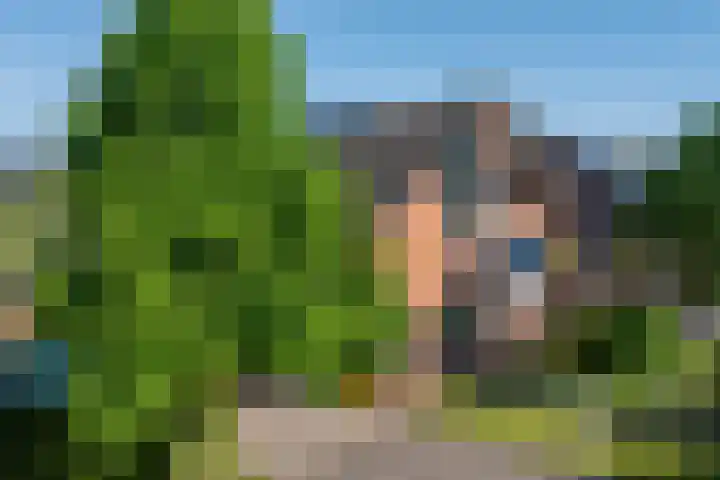Gaffeldreef 33 Doetinchem thumbnail 61