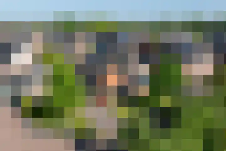 Gaffeldreef 33 Doetinchem thumbnail 62