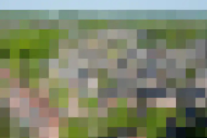 Gaffeldreef 33 Doetinchem thumbnail 64