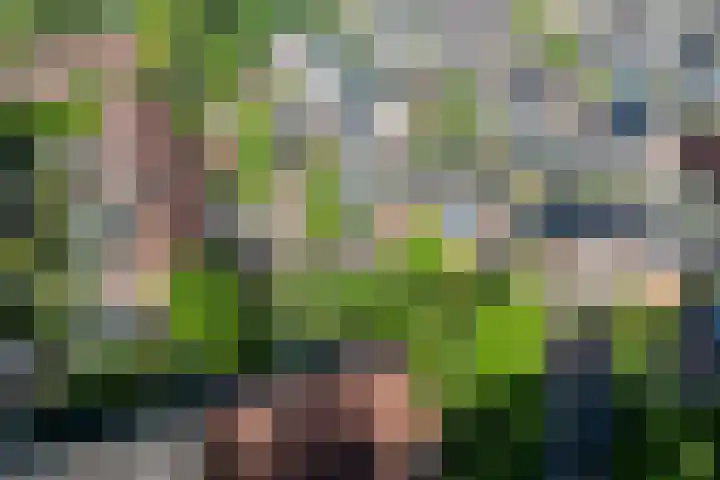 Gaffeldreef 33 Doetinchem thumbnail 65