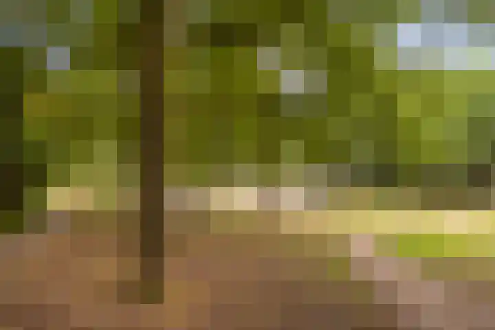 Gaffelhoek 16 Enschede thumbnail 34