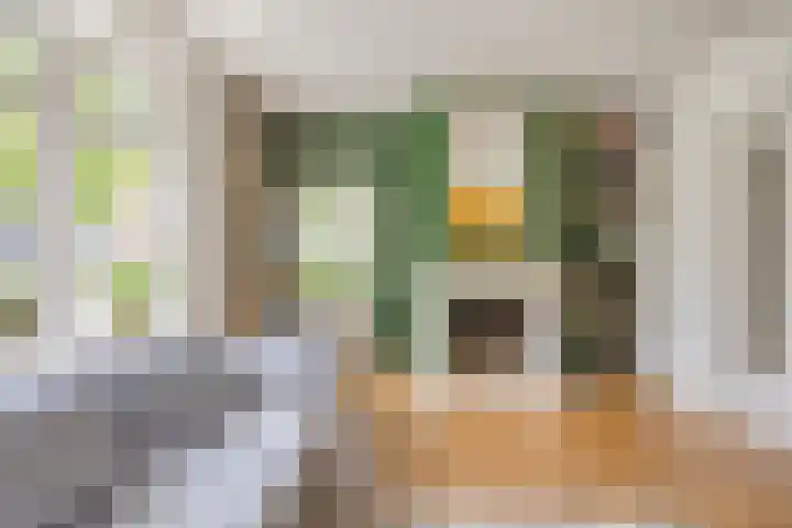 Gaffellaan 2 A Apeldoorn thumbnail 10