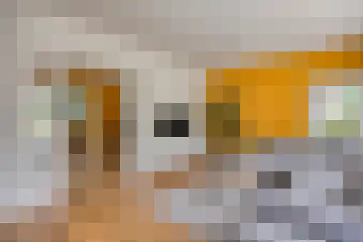Gaffellaan 2 A Apeldoorn thumbnail 11