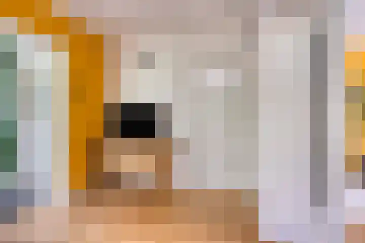 Gaffellaan 2 A Apeldoorn thumbnail 14