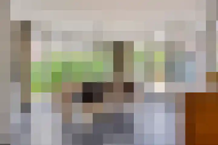 Gaffellaan 2 A Apeldoorn thumbnail 17