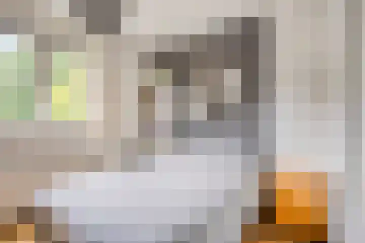 Gaffellaan 2 A Apeldoorn thumbnail 34