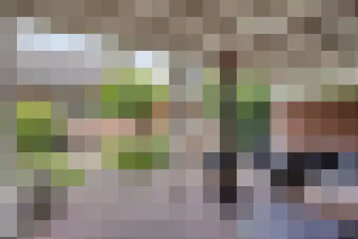 Gaffellaan 2 A Apeldoorn thumbnail 43