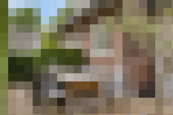 Gaffellaan 2 A Apeldoorn thumbnail 44