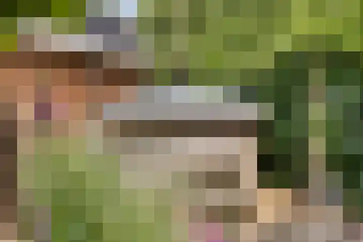 Gaffellaan 2 A Apeldoorn thumbnail 48