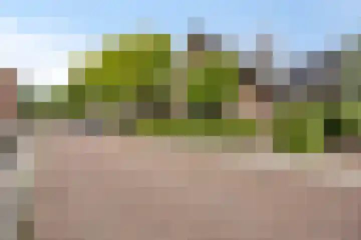 Gaffellaan 2 A Apeldoorn thumbnail 53