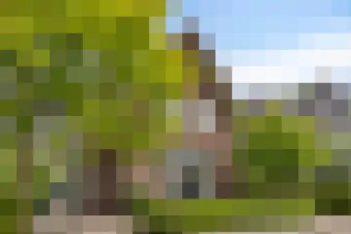 Gaffellaan 2 A Apeldoorn thumbnail 54