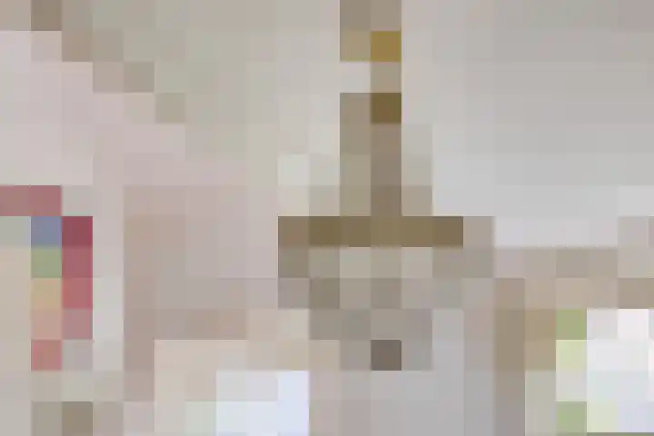 Gaffellaan 2 A Apeldoorn thumbnail 6