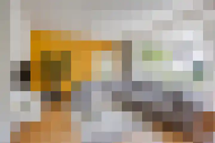 Gaffellaan 2 A Apeldoorn thumbnail 8