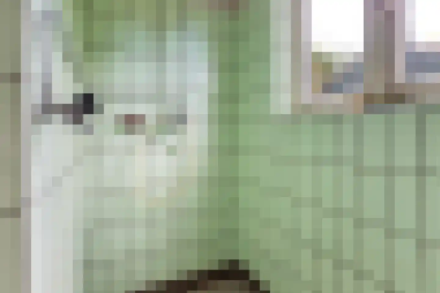 Gaffellaan 6 Apeldoorn thumbnail 11