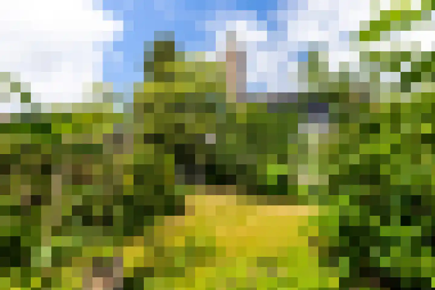 Gaffellaan 6 Apeldoorn thumbnail 21