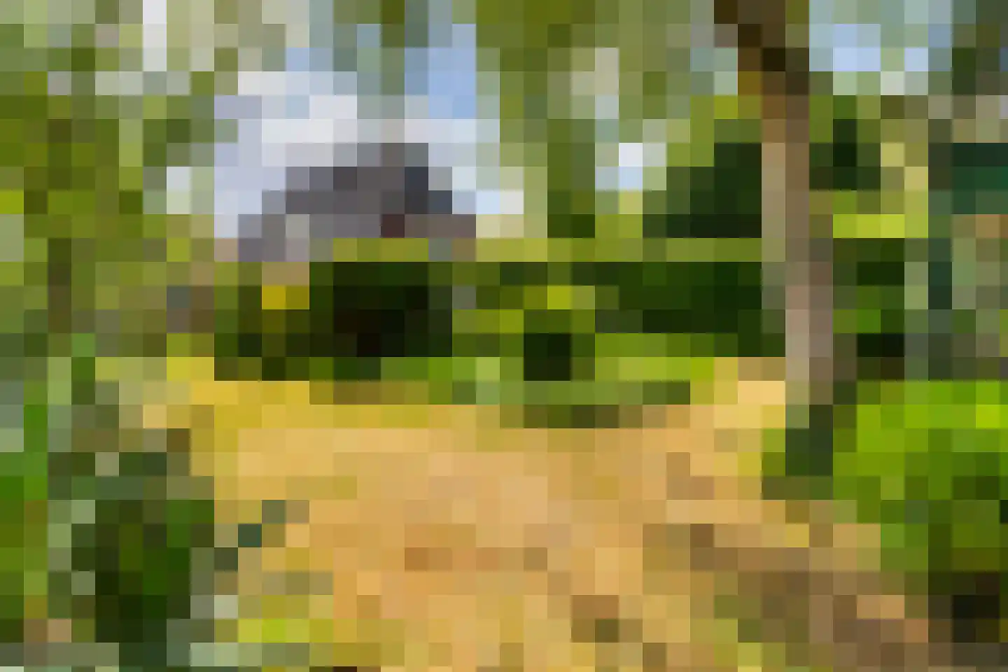 Gaffellaan 6 Apeldoorn thumbnail 24